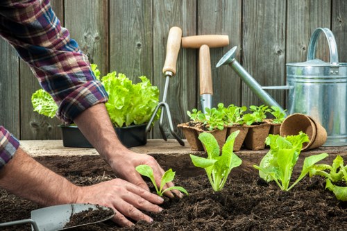 Gardeners working on a suburban property in Haringey