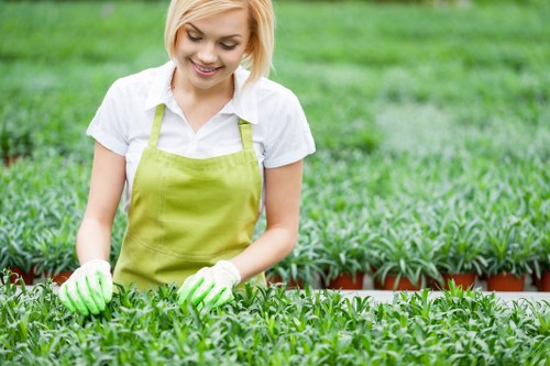 Gardener wearing PPE finishing a maintained lawn