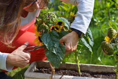 Operative using safe techniques with garden machinery